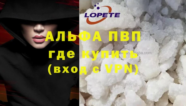 сатива Алзамай