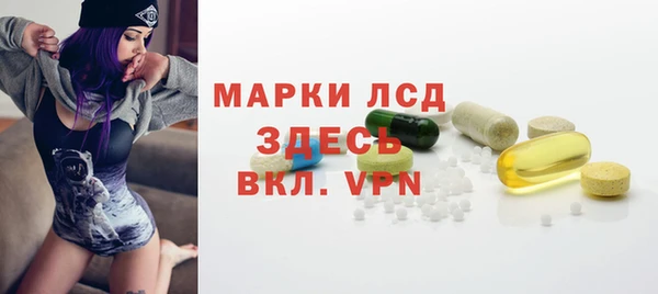сатива Алзамай