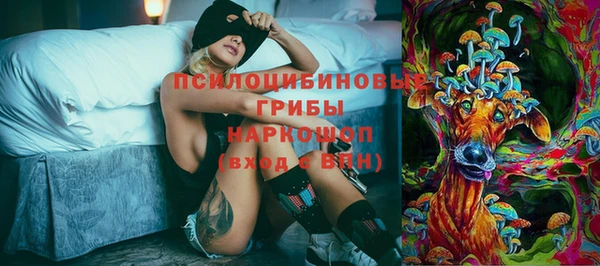 прущие грибы Алексеевка