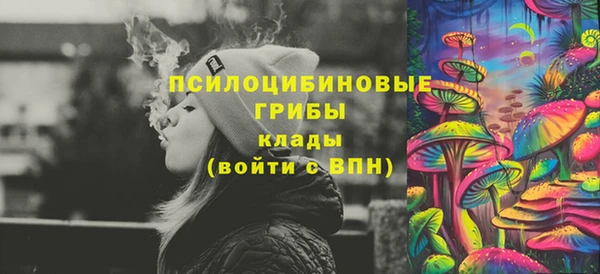 сатива Алзамай