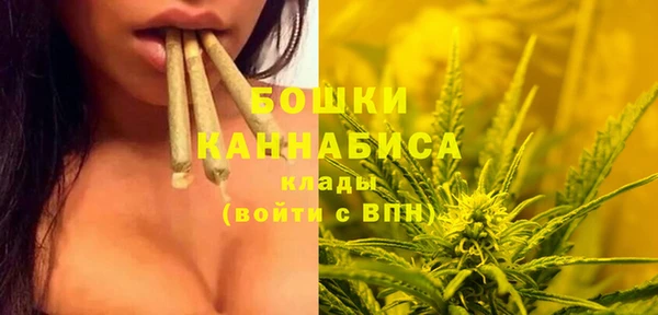 сатива Алзамай